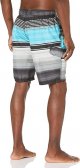 Men's Swim Trunks